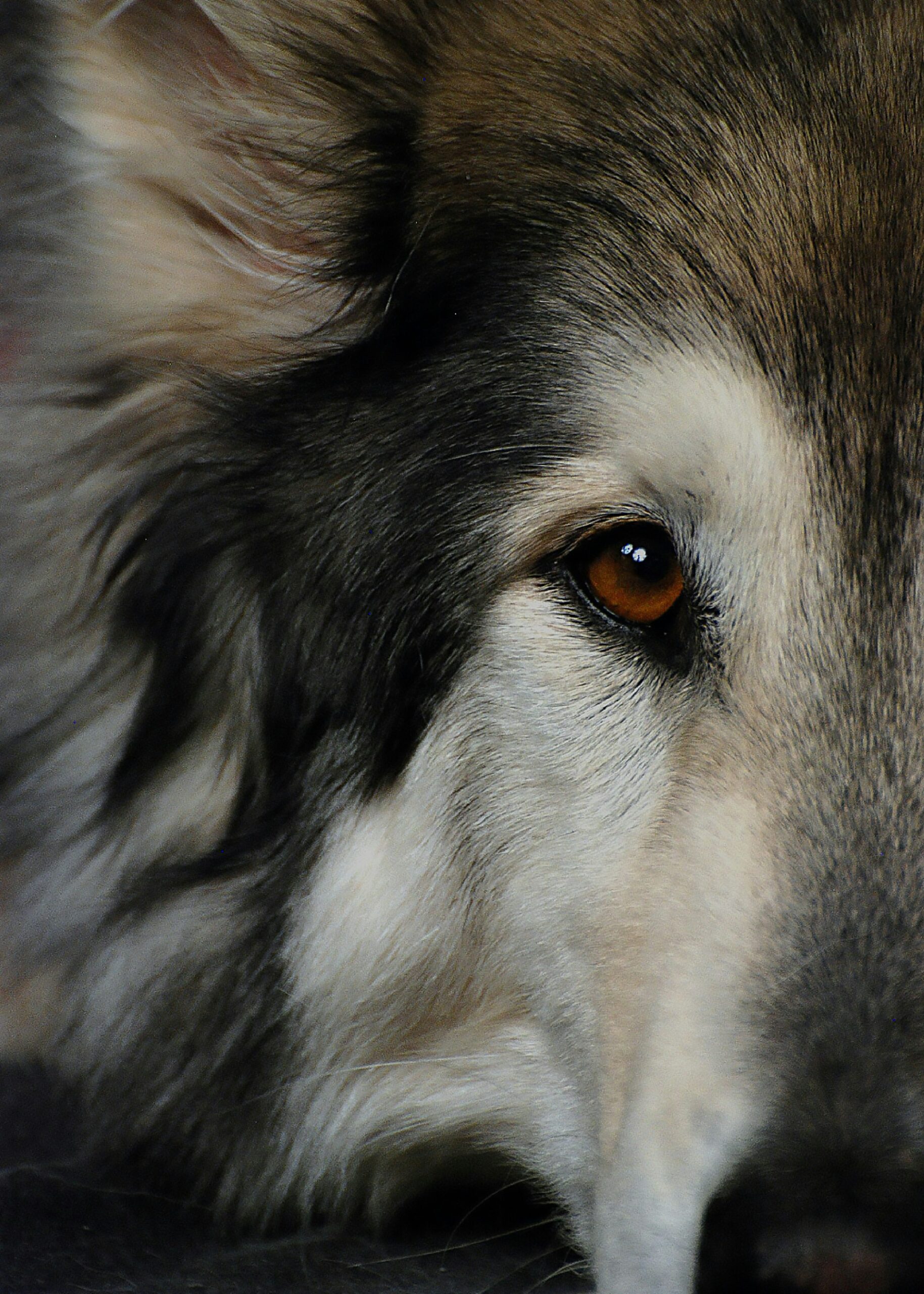 linda kazares zjiwrgrqb2y unsplash 1 scaled.jpg